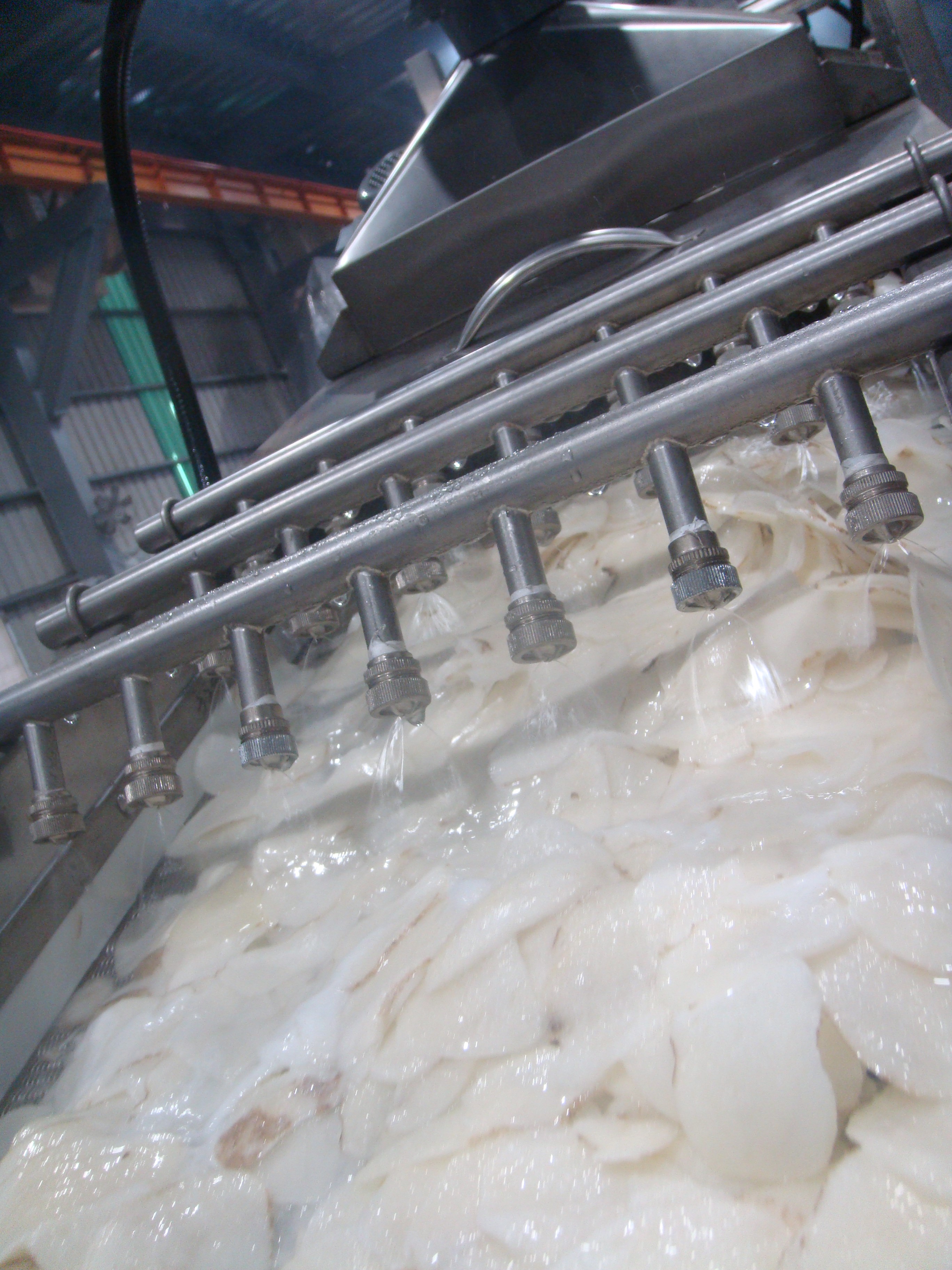 洋芋片生產線-澱粉洗滌機