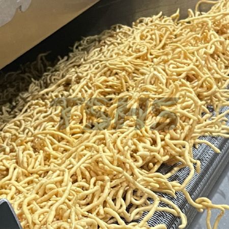 Aggiornamento della linea di frittura Fish Murukku per snack indiani|FRYIN-402 Migliora la capacità e la stabilità operativa (Malesia) - Aggiornamento della linea di frittura Fish Murukku per snack indiani in Malesia|FRYIN-402