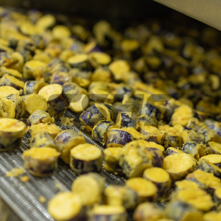 Automatisierte Produktion von frittierten Auberginen mit dem FRYIN-602 Durchlauf-Frittierer zur Kapazitätssteigerung (Thailand) - FRYIN-602 Kontinuierlicher Frittierer erhöht die Produktionskapazität von frittierten Auberginen | Fallstudie Thailand