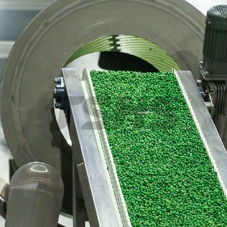 Green Pea Production Line Manufacturer - Green Pea Food Processing