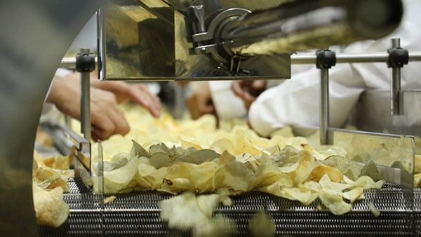 Les pommes de vapeur vapeur automatique Blancher blancheur de la courroie  de la machine en continu - Chine Chips de fruits de la machine de fruits,  l'équipement matériel de blanchiment de l'eau